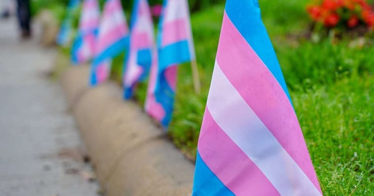 transgender-flags